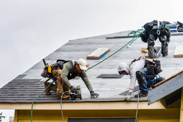 Professional Storm Damage Roof Repair technician working in Collins, MO
